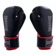 Brute Active Fitness Boxing Gloves 10oz - Boxningshandskar - GSBT0000140 - 2