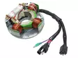 Sno-X snöskoter stator, Arctic Cat - Snöskoter stator - 81-01350 - 1
