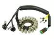 Sno-X snöskoter stator, Ski-Doo/Lynx - Snöskoter stator - 81-01370 - 1