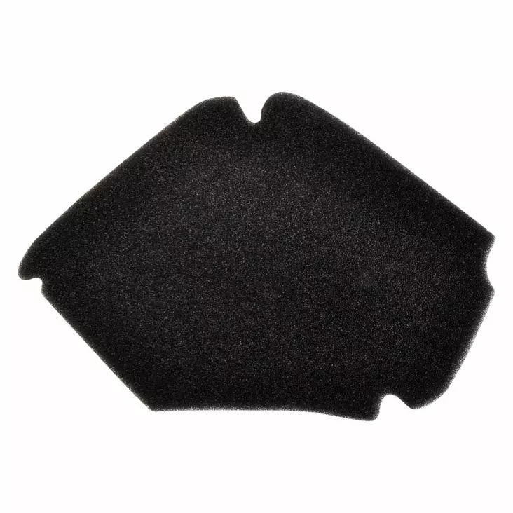 Forte Luftfilter, Aprilia Sportcity / Piaggio Fly, Zip, Liberty, NRG - Luftfilter - 302-100600430 - 1
