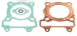 Airsal Packingssats (301-1041) - Övre packningssatser - 21-0841 - 1