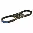Forte Drivrem, 788 x 17 , Kina-scooters 12" - 13" / Solifer 06- - Variatorremmar - 304-78441 - 1