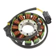 Kimpex snöskoter stator, Ski-Doo - Snöskoter stator - 81-245-31 - 1