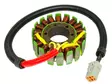 Sno-X snöskoter stator, Rotax - Snöskoter stator - 81-01351 - 1