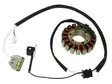 Sno-X snöskoter stator, Yamaha - Snöskoter stator - 81-01361 - 2