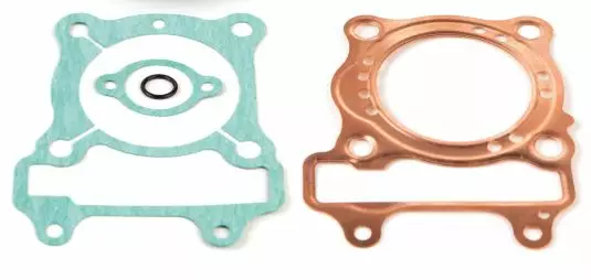 Airsal Packingssats (301-1041) - Övre packningssatser - 21-0841 - 1