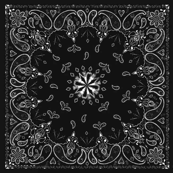 Flydanna bandanna Black paisley - Hjälmhuvor och balaclavas - B001 - 1