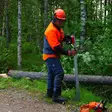 Riktare/fälldomkraft Timco Maxi 550KG - Säkerhetsutrustning - 103719862 - 5