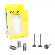 ProX Steel Intake Valve/Spring Kit Yamaha YZ450F 03-09 +WR450F 03-15 - Motocross insugsventiler - 400-28-SIS2424-2 - 2