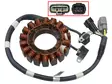 Sno-X snöskoter stator, Polaris - Snöskoter stator - 81-01372 - 1