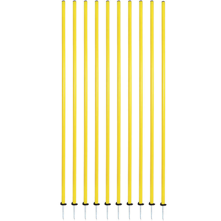 Slalompinne med spets - 10 st - Teknik och Snabbhet - kl520032 - 1