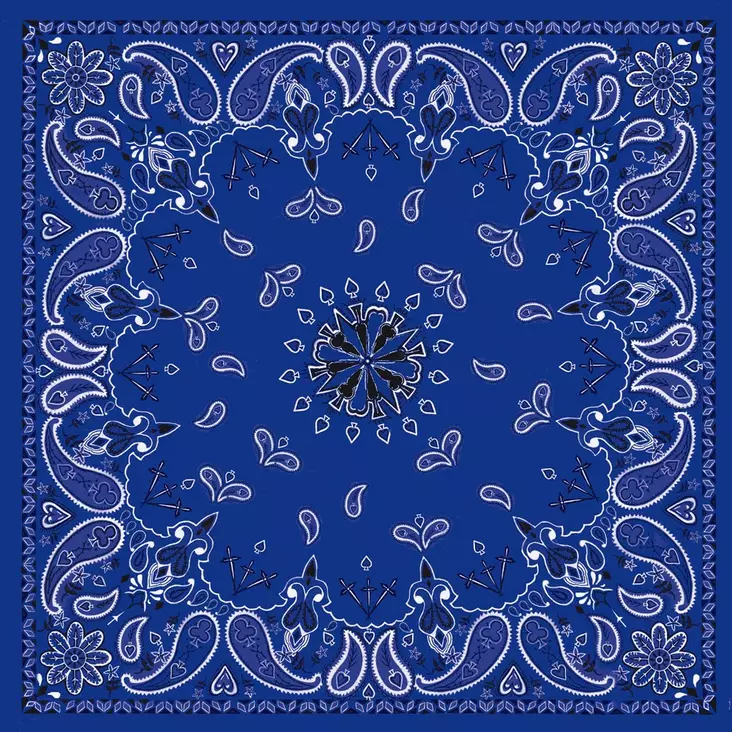 Flydanna bandanna Navy paisley - Hjälmhuvor och balaclavas - B002 - 1