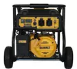 DeWalt DXGNP30E aggregat - Aggregat - 103713133 - 2