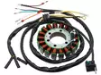 Bronco Stator Polaris - ATV statorer - 71-01973 - 1