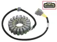 Sno-X snöskoter stator, Ski-Doo/Lynx - Snöskoter stator - 81-01373 - 1