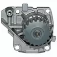 Vattenpump: Lombardini LDW502 - Motordelar - 309-POMACQ120003 - 1