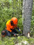 Jokijärvi mekanisk fällkil - Säkerhetsutrustning - 103338174 - 5