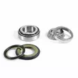 ProX Styrlager Sats PW50 '81-20 - Motocross styrlager - 400-24-110064 - 2