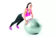Gymstick Fitness Ball - Gymbollar - GS61033-65 - 2