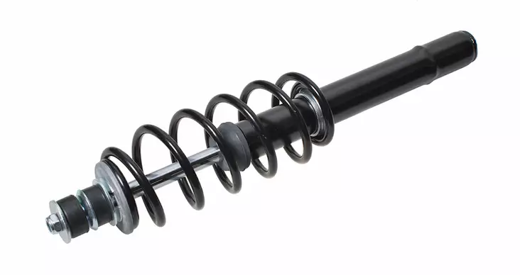 Stötdämpare, fram: Ligier IXO (20.0.082) - Stötdämpare - 309-AMMANT450015 - 1