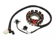 Sno-X snöskoter stator, Polaris 600/700/800 - Snöskoter stator - 81-01356 - 1
