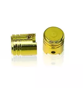 BOUCHONS DE VALVE DORE - MC Hjul tillbehör - IN36 - 1