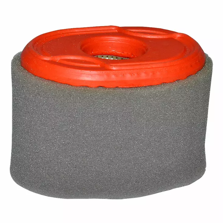 Luftfilter ROTARY: B&S 550 - Filter till Briggs & Stratton - 442-19-14206 - 1