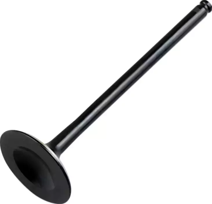 Insugsventil Polaris Ranger - ATV andra motordelar - PE09263107 - 1