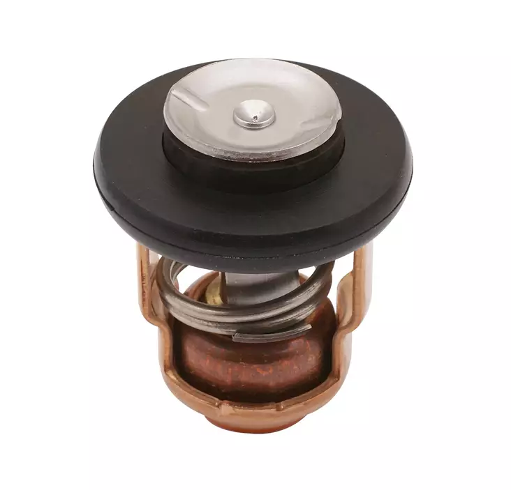 Sea-X, termostat Yamaha - Termostater - 122-9-43037 - 1