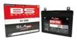 BS Battery SLA Max-batteri U1-500, förseglat och klart att använda - BS batteri - 140-300899 - 2