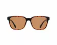 Spect Red Bull Eliot solglasögon Shiny Havana w Brown lens - Solglasögon - 674-25009 - 2