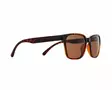 Spect Red Bull Eliot solglasögon Shiny Havana w Brown lens - Solglasögon - 674-25009 - 1