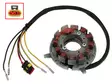 Sno-X Stator, Ski-Doo/Lynx - Snöskoter stator - 81-01379 - 1
