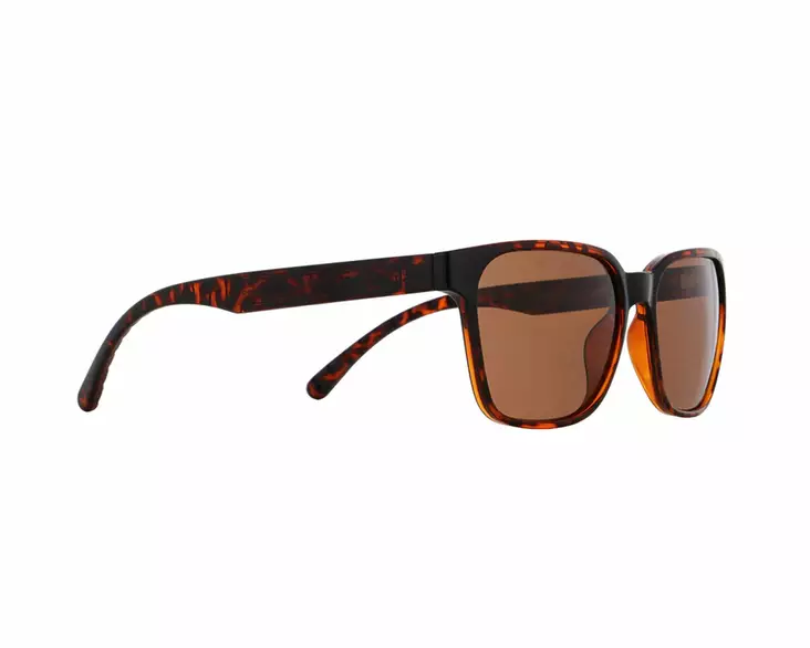 Spect Red Bull Eliot solglasögon Shiny Havana w Brown lens - Solglasögon - 674-25009 - 1