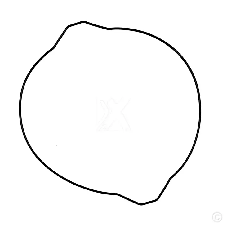 ProX Clutch Cover Gasket YZ250 '99-20 - Motocross kopplingskåpans tätningar - 400-19-G2399 - 1
