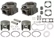 Sno-X Cylinder kit Polaris 600 - Snöskoter cylindrar - 89-09611K - 1